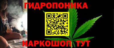 стафф Волгодонск