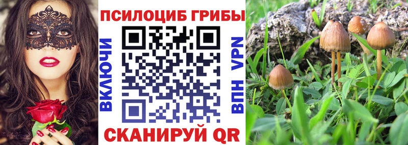 Галлюциногенные грибы GOLDEN TEACHER  дарнет шоп  Иваново 