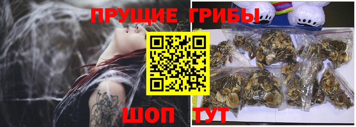Псилоцибиновые грибы мицелий  Галлюциногенные грибы MAGIC MUSHROOMS  Иваново  Вход с VPN 
