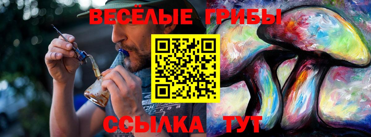 Псилоцибиновые грибы Psilocybe Иваново