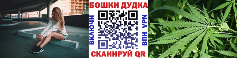 Бошки Шишки планчик Иваново